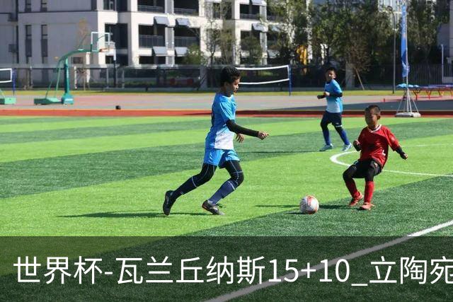 世界杯-瓦兰丘纳斯15+10 立陶宛男篮大胜埃及