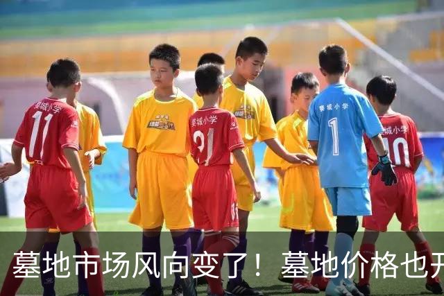 墓地市场风向变了！墓地价格也开始跳水？城郊双穴从8万跌到18000