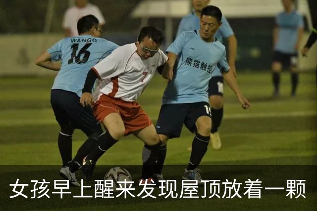 女孩早上醒来发现屋顶放着一颗“狗头”，吓得魂都快没了，结果它突然站起来了…