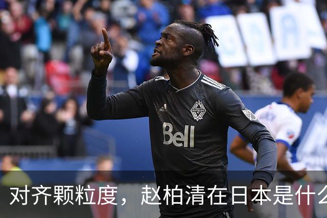 对齐颗粒度，赵柏清在日本是什么水平？