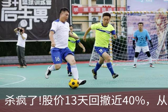 杀疯了!股价13天回撤近40%，从高点248.3砸至153.01!出现12连阴!