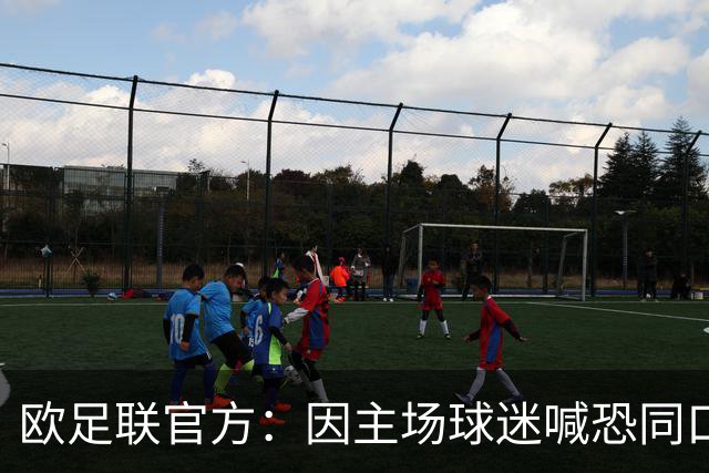 欧足联官方：因主场球迷喊恐同口号，对里昂罚款2万欧