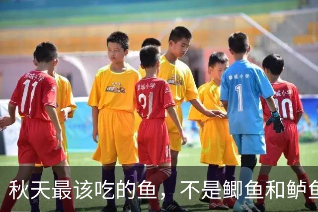 秋天最该吃的鱼，不是鲫鱼和鲈鱼，这3种鱼鲜嫩好消化、肉多刺少