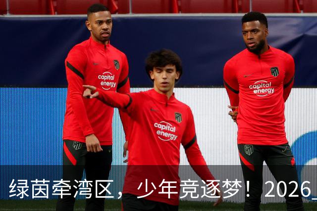绿茵牵湾区，少年竞逐梦！2026 粤港澳大湾区青少年足球交流赛落幕