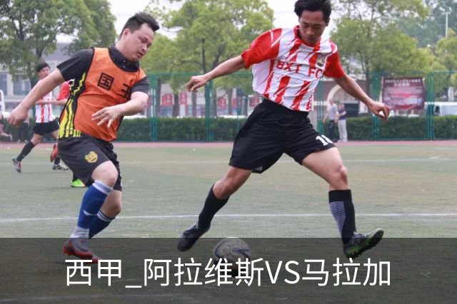 西甲 阿拉维斯VS马拉加
