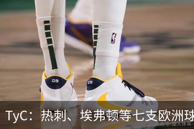 TyC：热刺、埃弗顿等七支欧洲球队有意伊卡尔迪